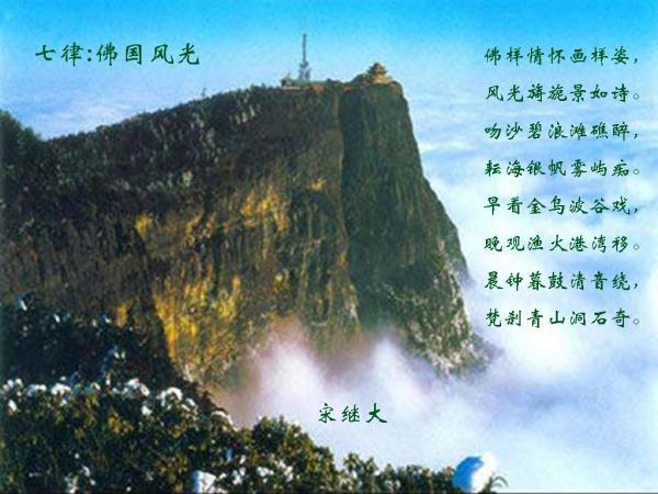 宠物世界聚会